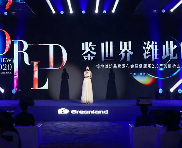 商業(yè)演出 (3)