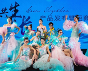 商業(yè)演出 (5)